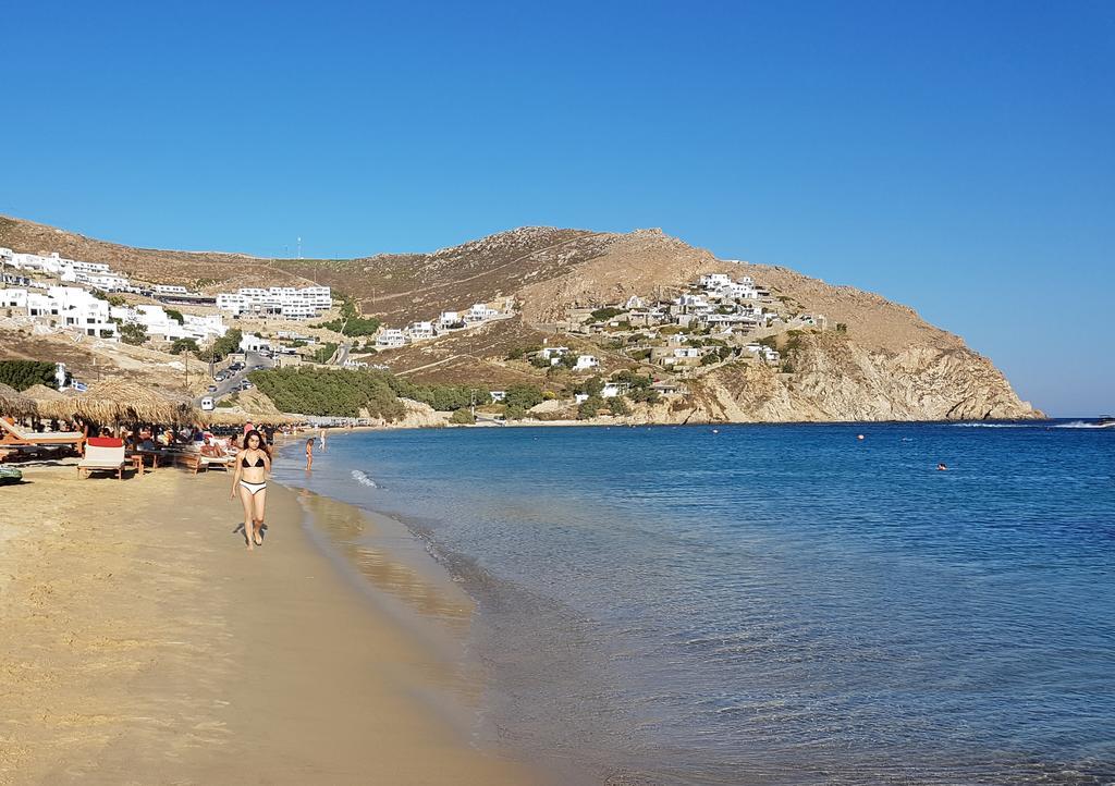 Mykonian Dianthus Villa Elia (Mykonos)